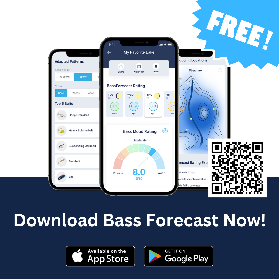Bass Forecast | Bass Fishing App - Free Download!